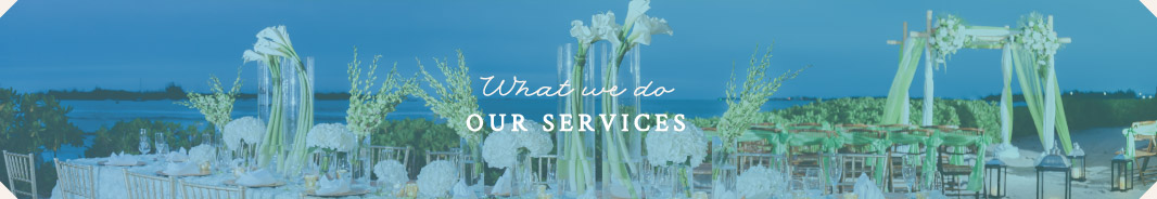 What We Do - Our Services